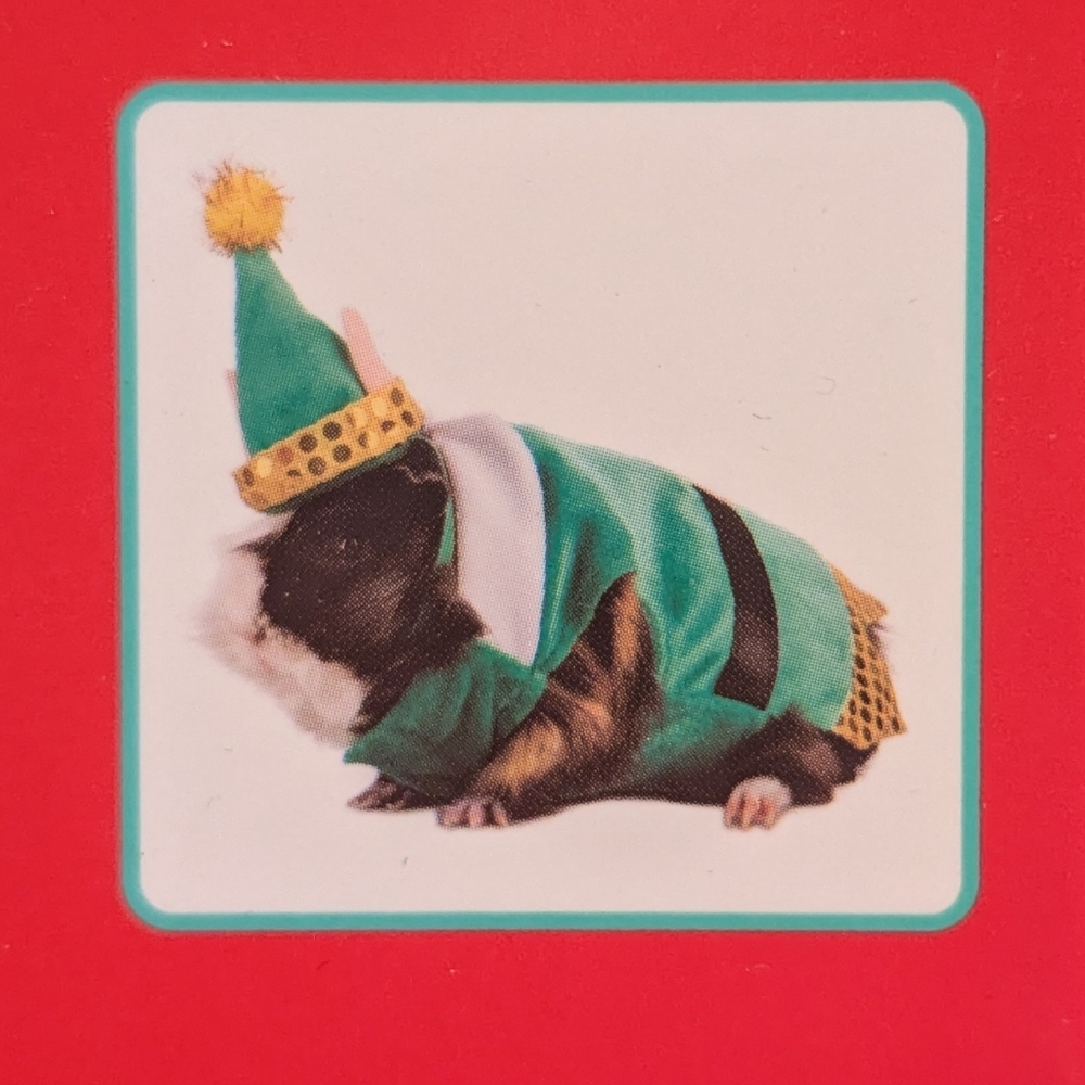Festive Elf Costume for Small Pets